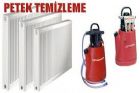 PETEK TEMZLG 